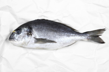 Fresh bream fish on white parchment paper
