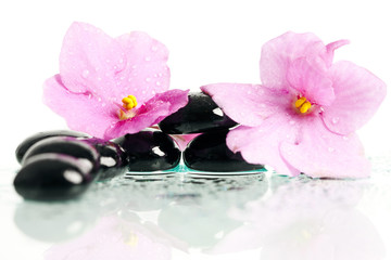 Spa treatment massage stones and pink flower