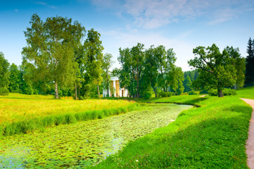 Fototapeta na wymiar beautiful landscape of the park, overgrown lilies river