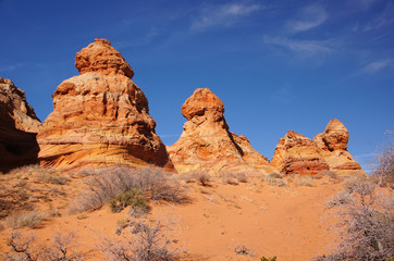 Paria Canyon-Vermilion Cliffs Wildnis, Arizona, USA