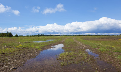 Alvaret after a heavy rain, important habitat