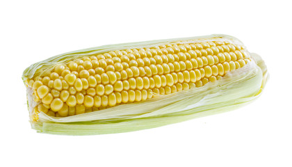 Sweet corn