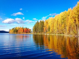 Autumn colours