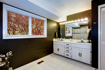 Elegant black and white bathroom