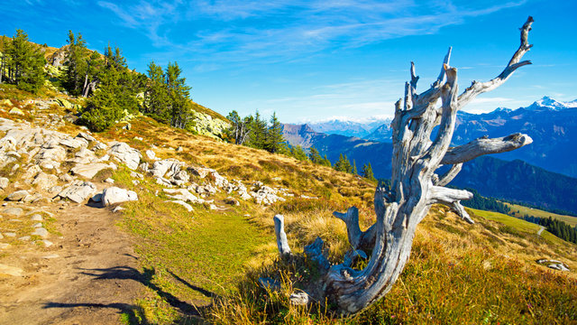 Wanderweg