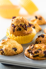 Cranberry muffins in a muffin tin