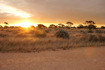 Evening time on the Nullarbor