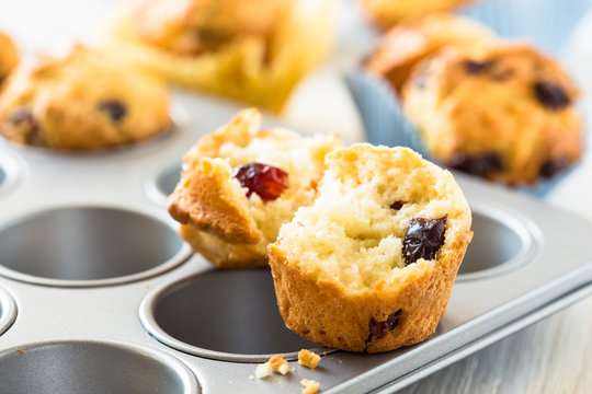 Cranberry muffins in a muffin tin