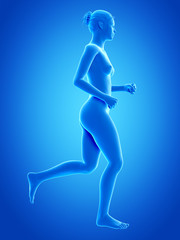 Fototapeta na wymiar medical 3d illustration - jogging woman