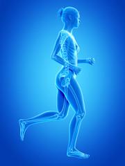 medical 3d illustration - jogging woman - visible bones
