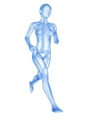 medical 3d illustration - female jogger with visible bones