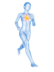 medical 3d illustration - female jogger with visible heart