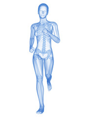 medical 3d illustration - female jogger with visible bones