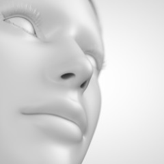 grey female - close up of the nose