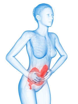 medical 3d illustration - woman having pain in the belly