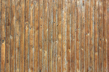 Wood texture. background