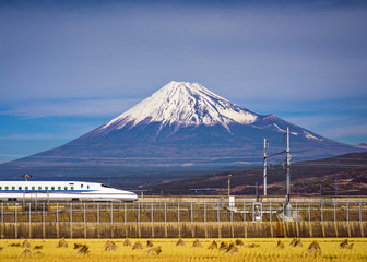 Naklejka premium Góra Fuji