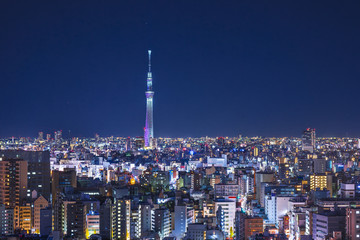 Tokyo Cityscape with Tokyo Skytree © SeanPavonePhoto