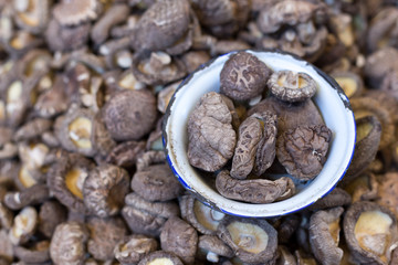 Shiitake Mushrooms