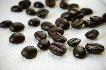 dried Coffee seed
