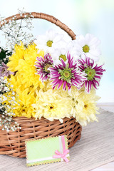 Beautiful chrysanthemum flowers in wicker basket