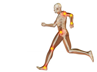 3D human man anatomy with articular pain