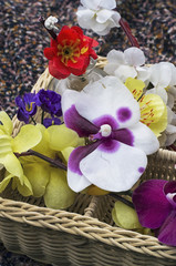 wicker basket with different flowers