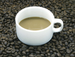 coffee beans