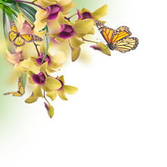 Floral background of tropical orchids and  butterfly - 61570736