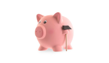 Unique pink ceramic piggy bank