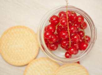 berry, red currant and biscuits  in soft focus