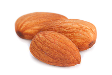 Almond nut seed