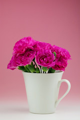 カーネーション