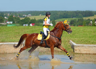 Rider on horse at equestrian event