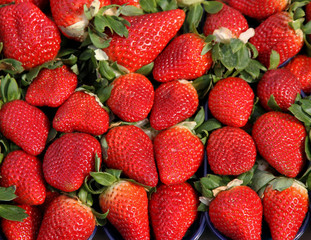 red Strawberry to the delight of gourmands