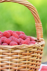 Fototapeta na wymiar Raspberries in the basket