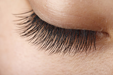 Eyelash