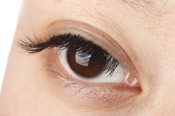 Obraz premium Eyelash