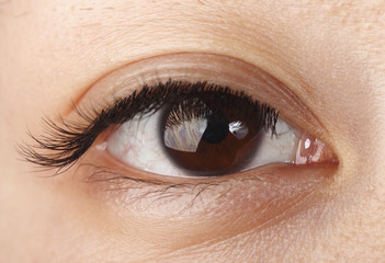 Obraz premium Eyelash