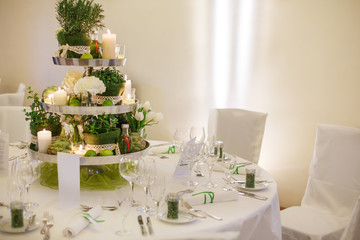 Beautiful table set  for green wedding or event party, indoors,