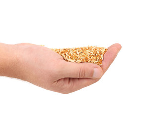 Hands holds heap of corn grain.