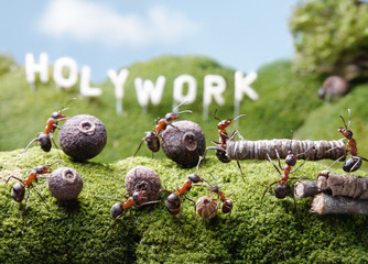 Holywork hills,  Ant Tales