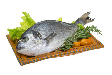 Raw dorado