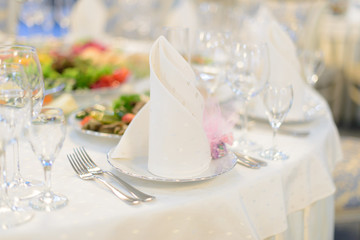 Elegant White Napkin