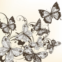 Beautiful vector background with monochromic  butterflies