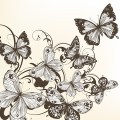 Beautiful vector background with monochromic  butterflies