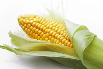 Deurstickers Corn on cob © romankorytov
