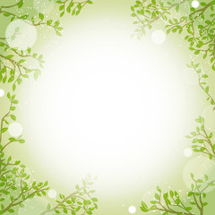 緑の葉と光りのフレーム