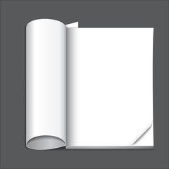 blank magazine page