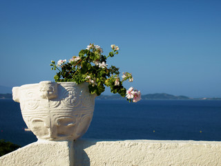 pot of flowers on a background of the sea